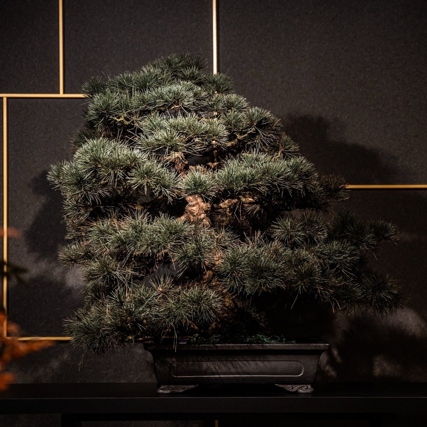 Dry Bonsai Reproduction