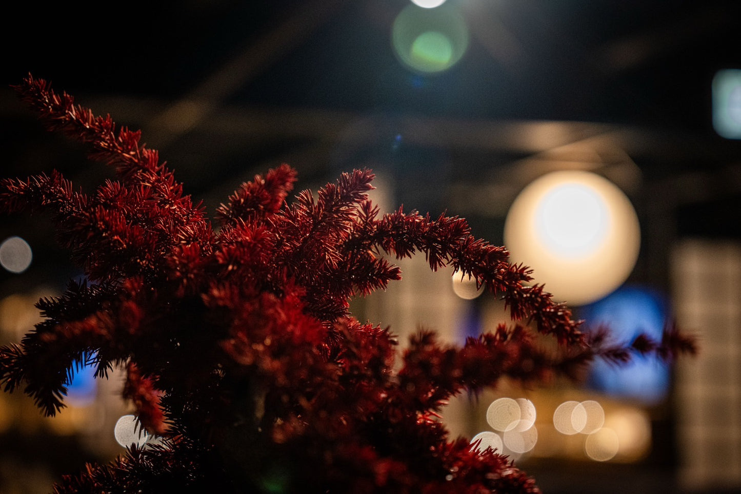 Dry Bonsai Red