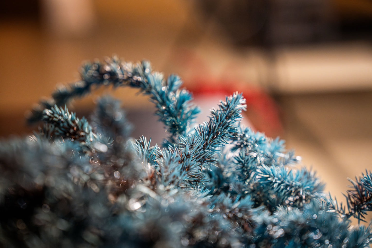 Dry Bonsai Blue
