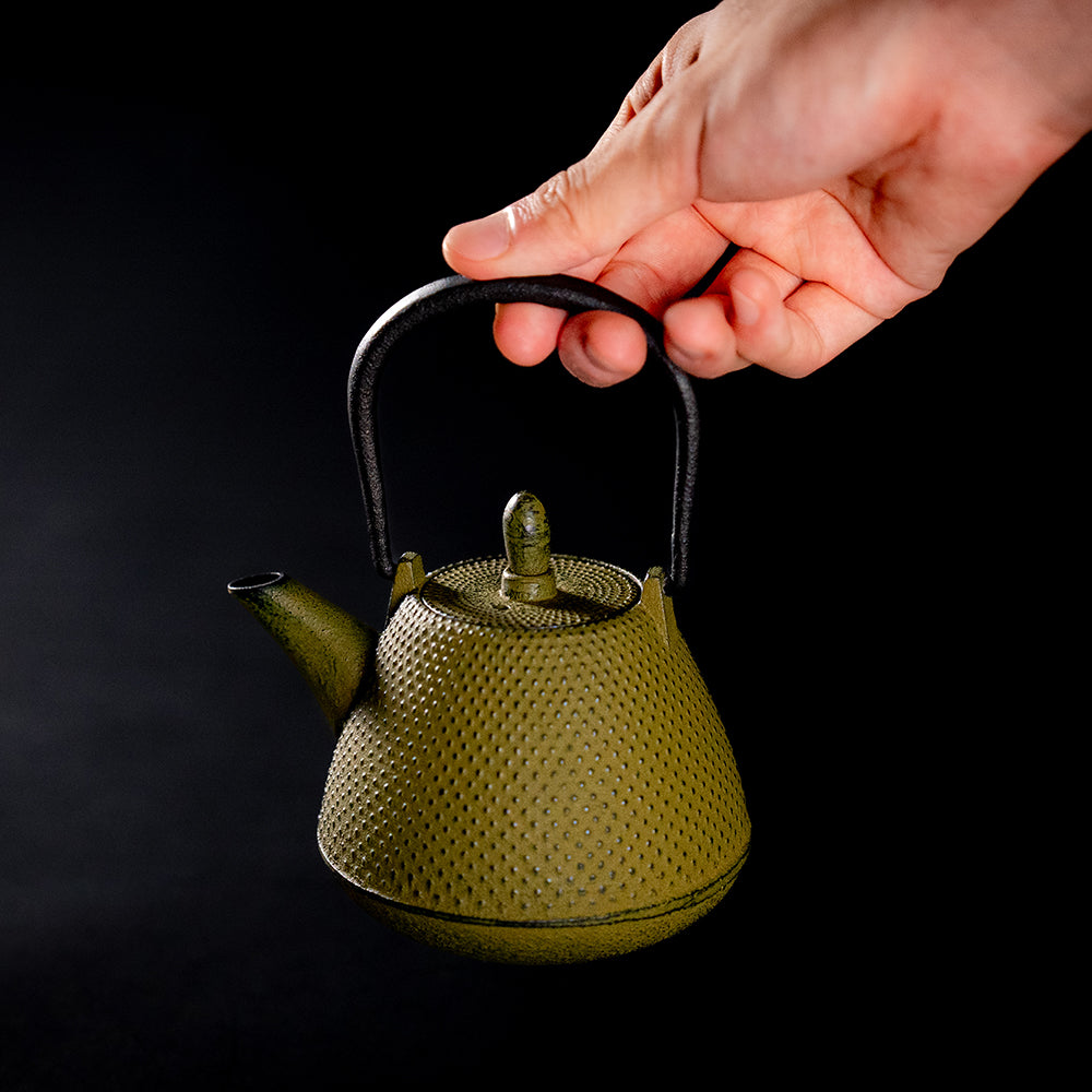 Nanbu Ironware Teapot Dome-shaped (Fuji-shaped) Arare 0.4L