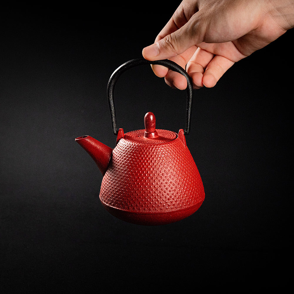 Nanbu Ironware Teapot Dome-shaped (Fuji-shaped) Arare 0.4L
