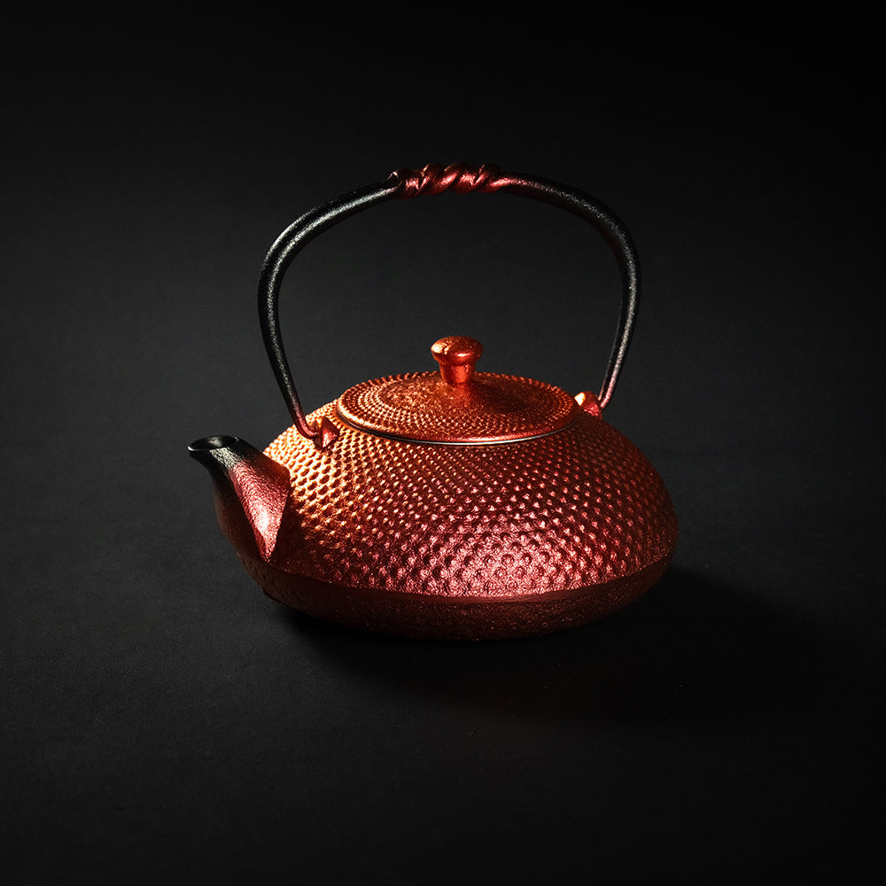 Nambu Ironware Small Teapot Arale 0.5L