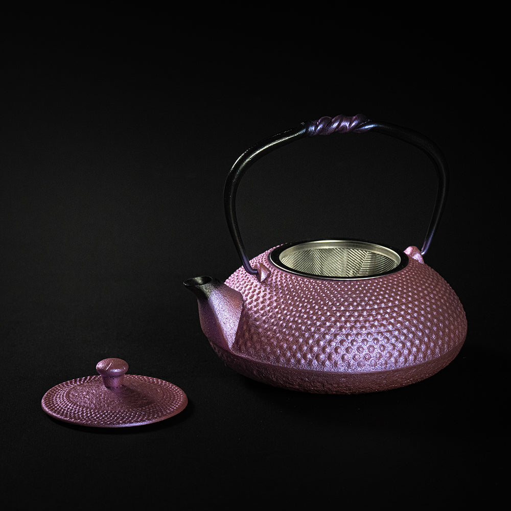 Nambu Ironware Small Teapot Arale 0.5L