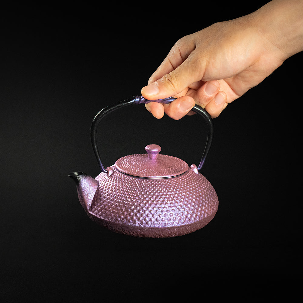 Nambu Ironware Small Teapot Arale 0.5L