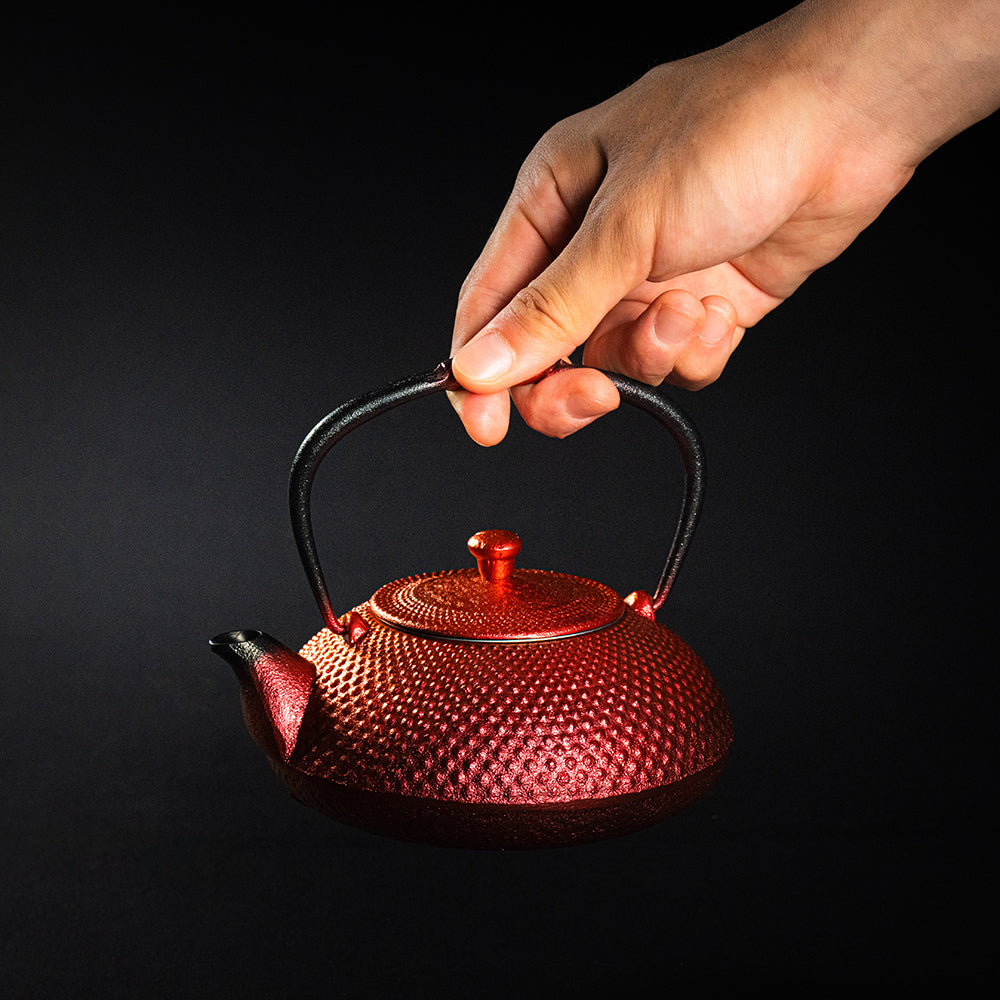 Nambu Ironware Small Teapot Arale 0.5L