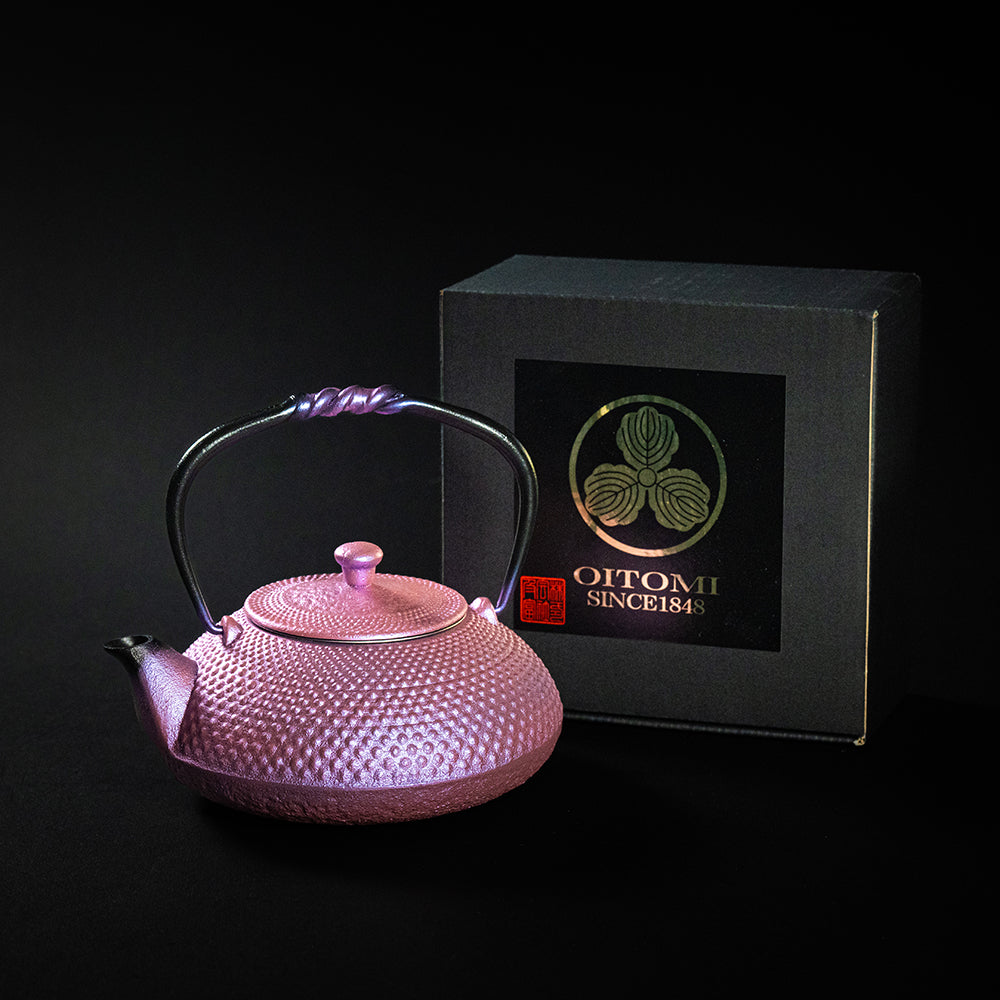 Nambu Ironware Small Teapot Arale 0.5L