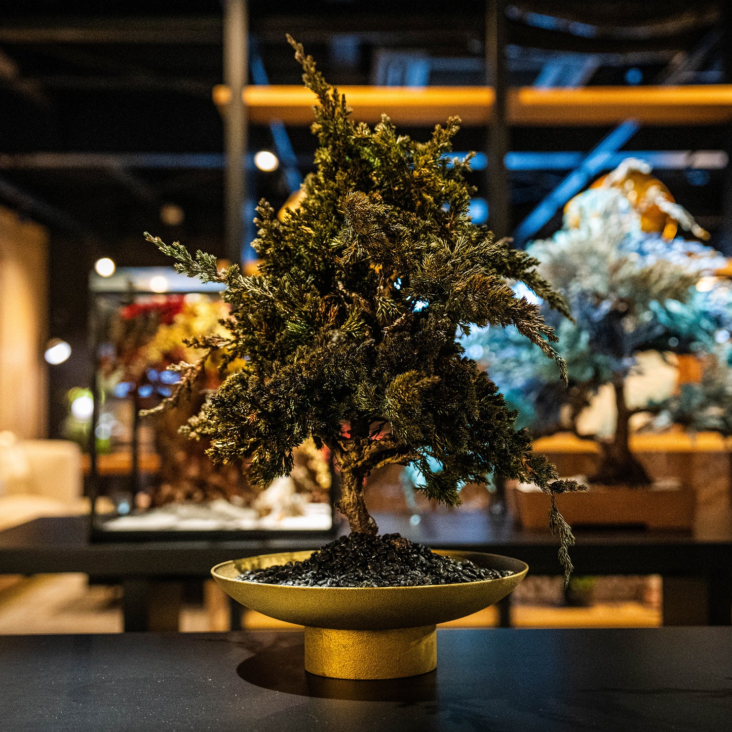 Dry Bonsai Green