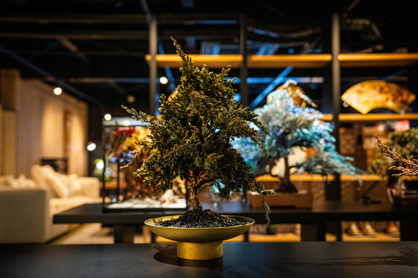 Dry Bonsai Green