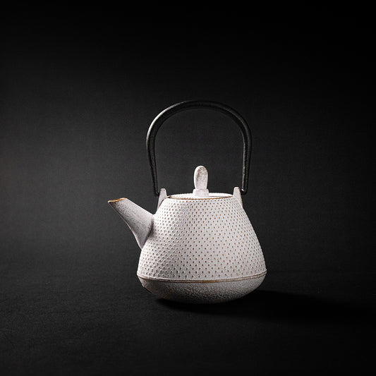 Nanbu Ironware Teapot Dome-shaped (Fuji-shaped) Arare 0.4L