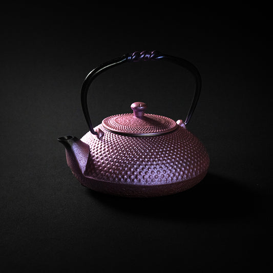 Nambu Ironware Small Teapot Arale 0.5L